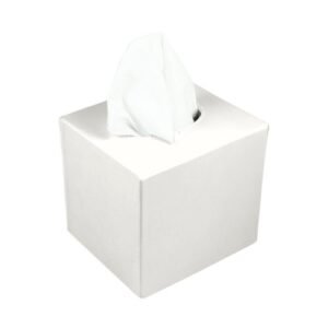 facial tissue cube/square